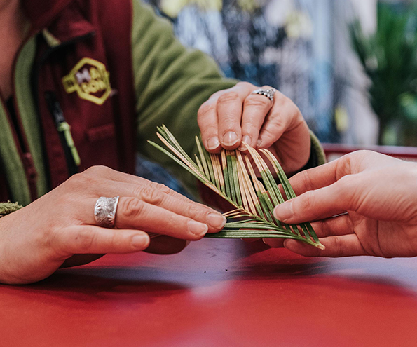 diagnostic-vegetaux-la-maison-fr-flers-2