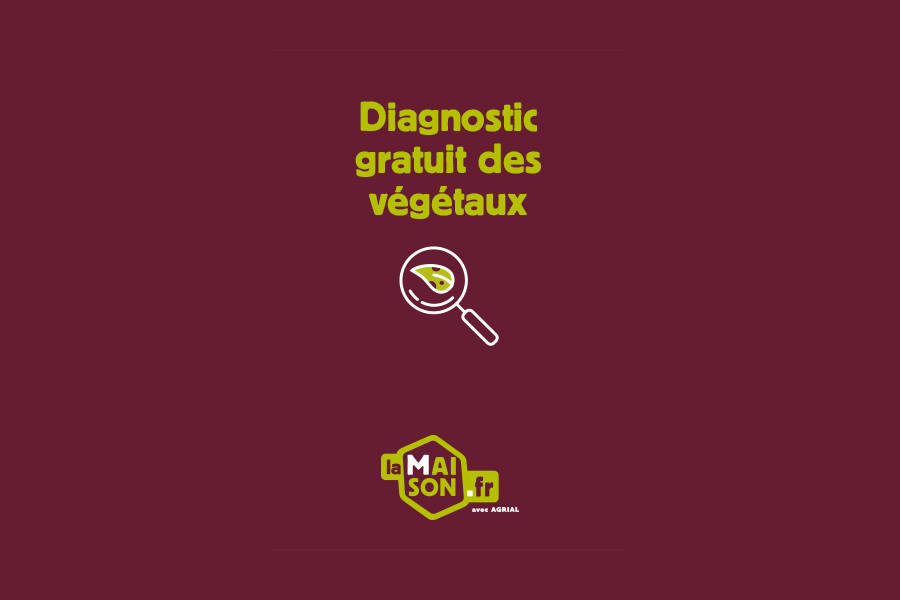 Diagnostic Gratuit Végétaux