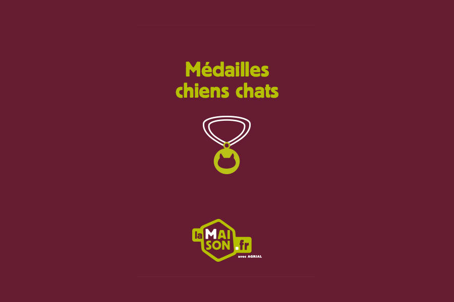 Gravure médaille chient et chat