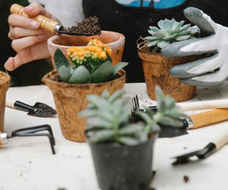 rempotage-gratuit-la-maison-fr-flers-2