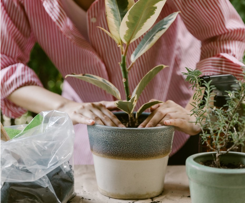 rempotage-gratuit-la-maison-fr-flers-3