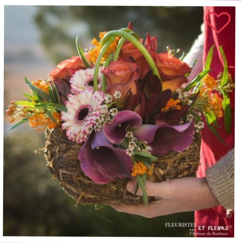 Émotions partagées