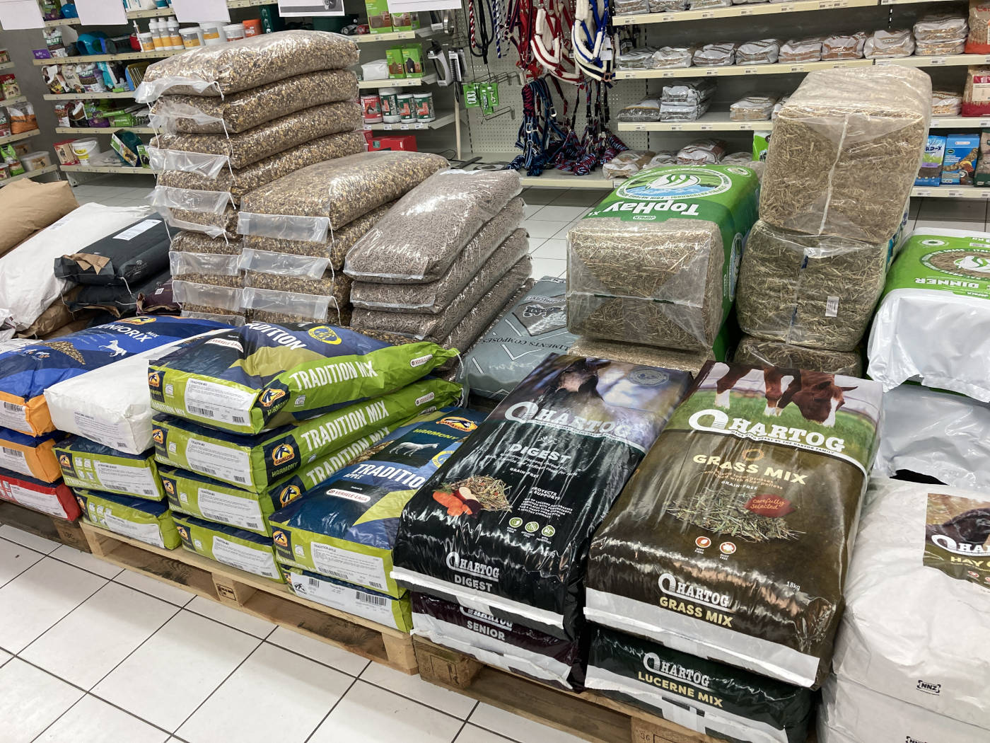 Nourriture pour Cheval