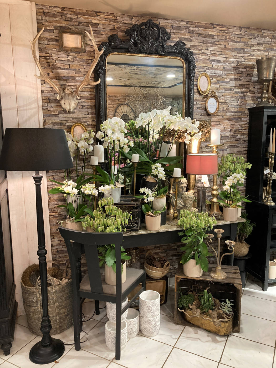 Plantes et Décoration