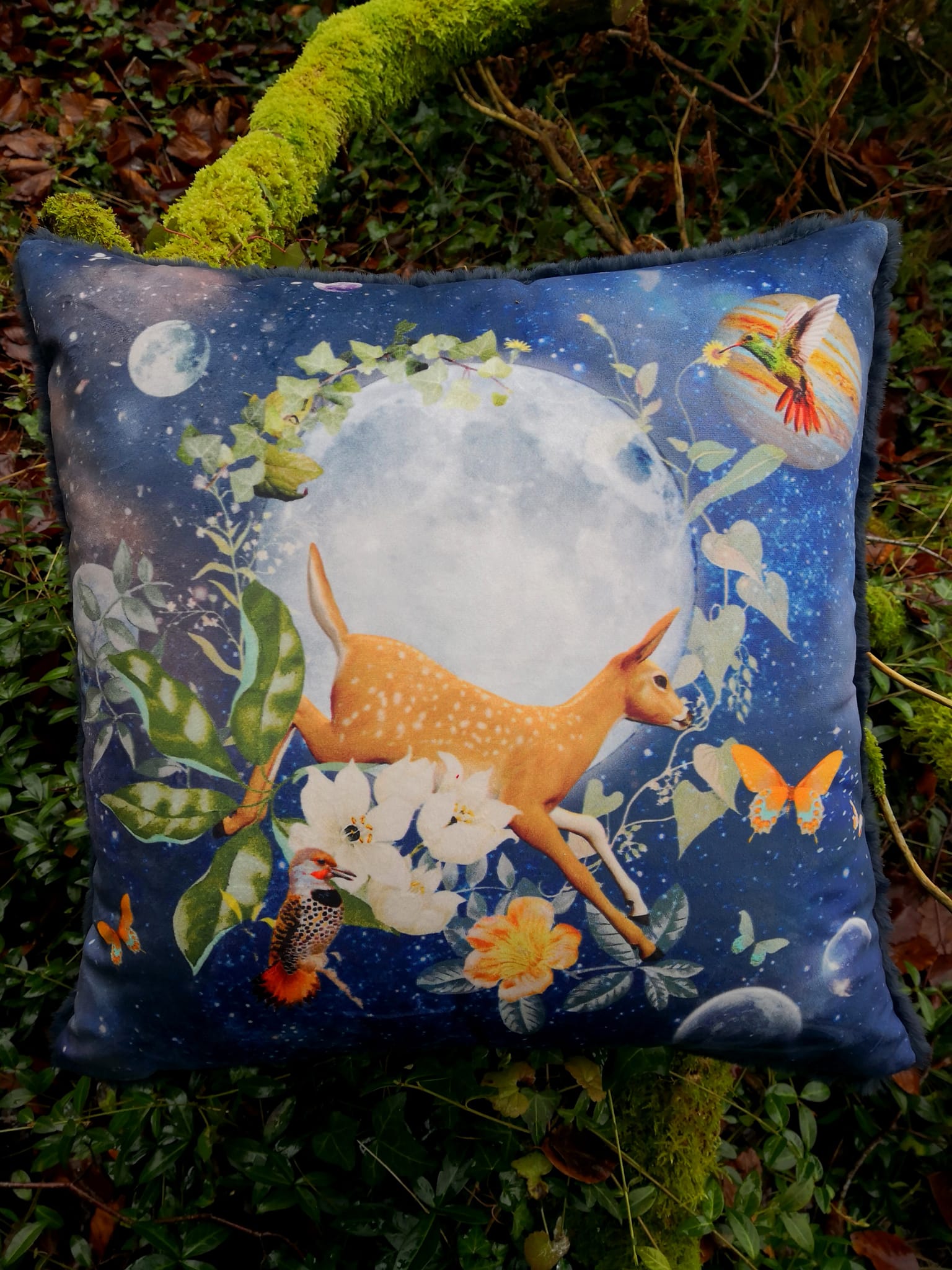 Coussin Velours Assiz&rsquo;A9