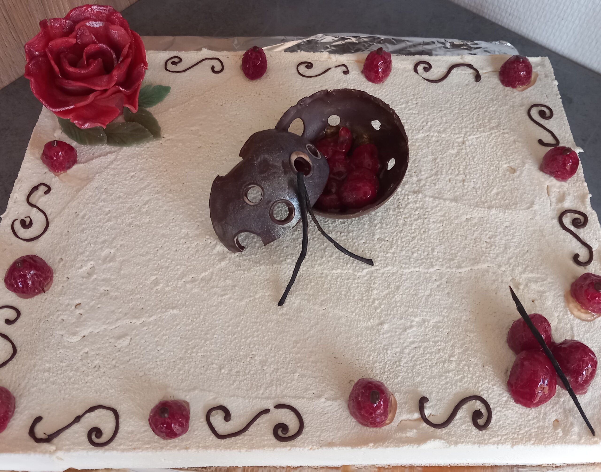 Framboisier Chez Ju et Mini