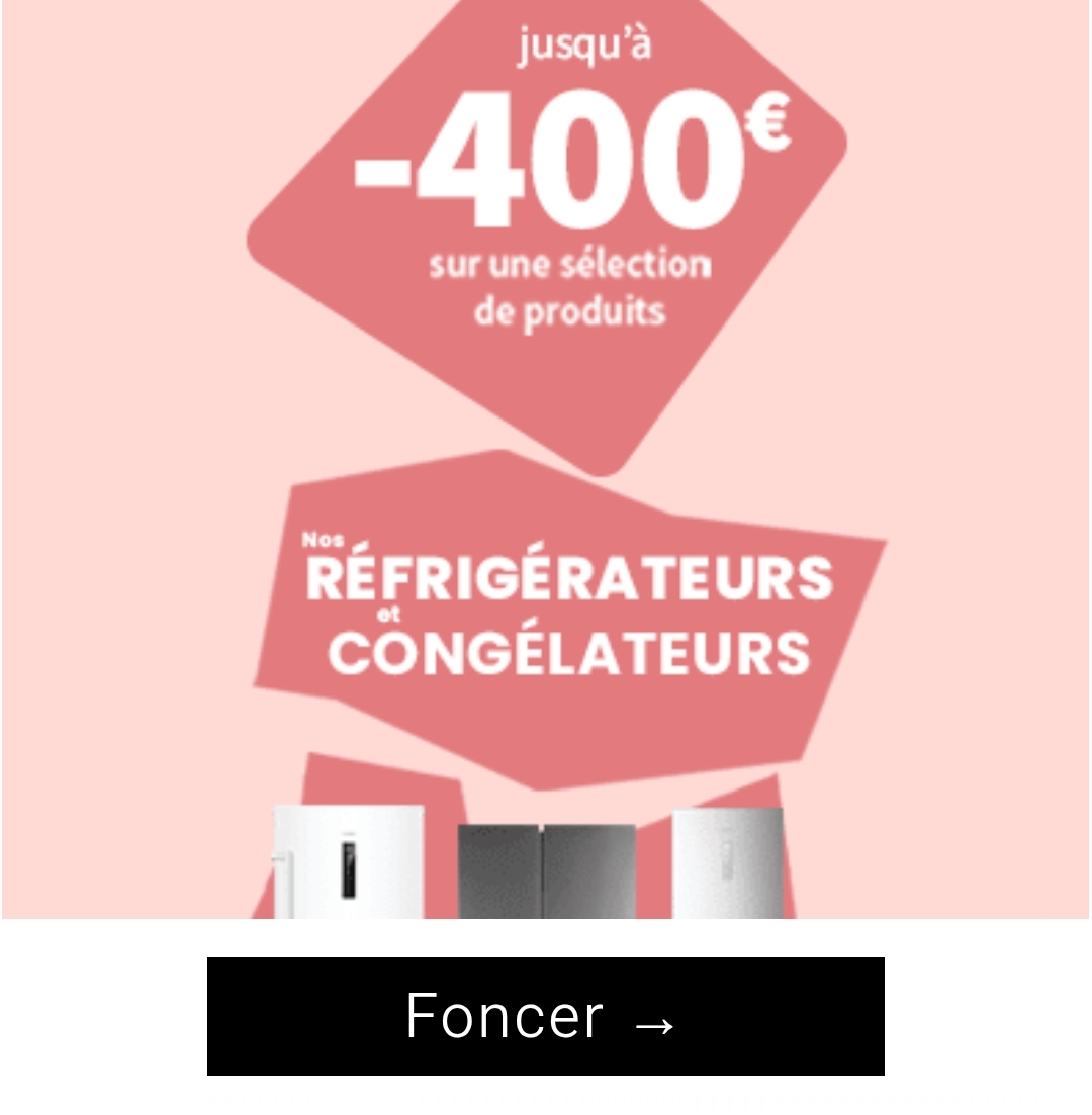Remise Jusqu&rsquo;à 400 €uros Sur Les Réfrigérateurs Et Congélateurs