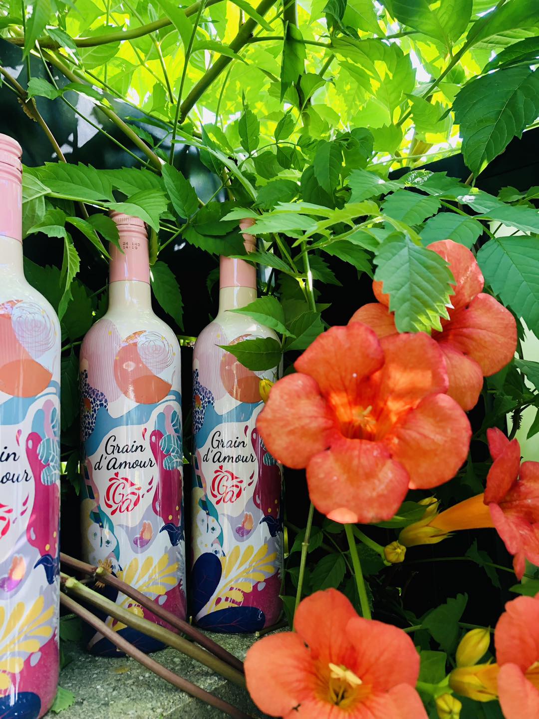 Rosé Grain D&rsquo;amour