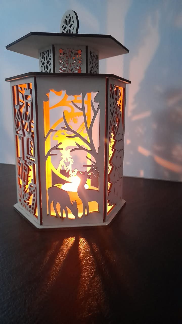 fb_img_1741784797636