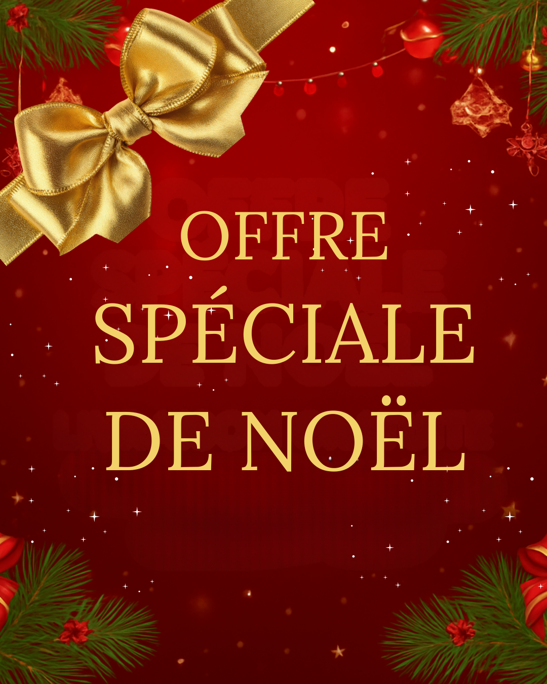 Offre Pour Noël