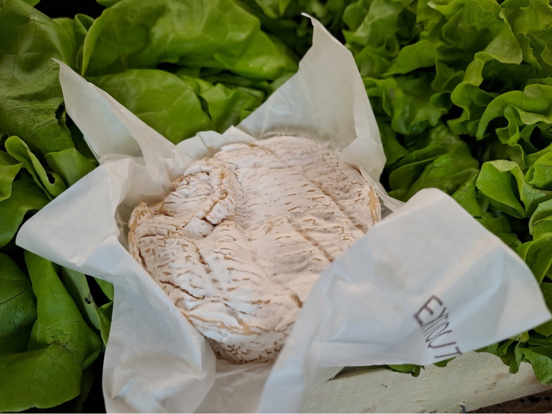 camembert-gillot-lrsquoepicerie-drsquoathis-flers-2