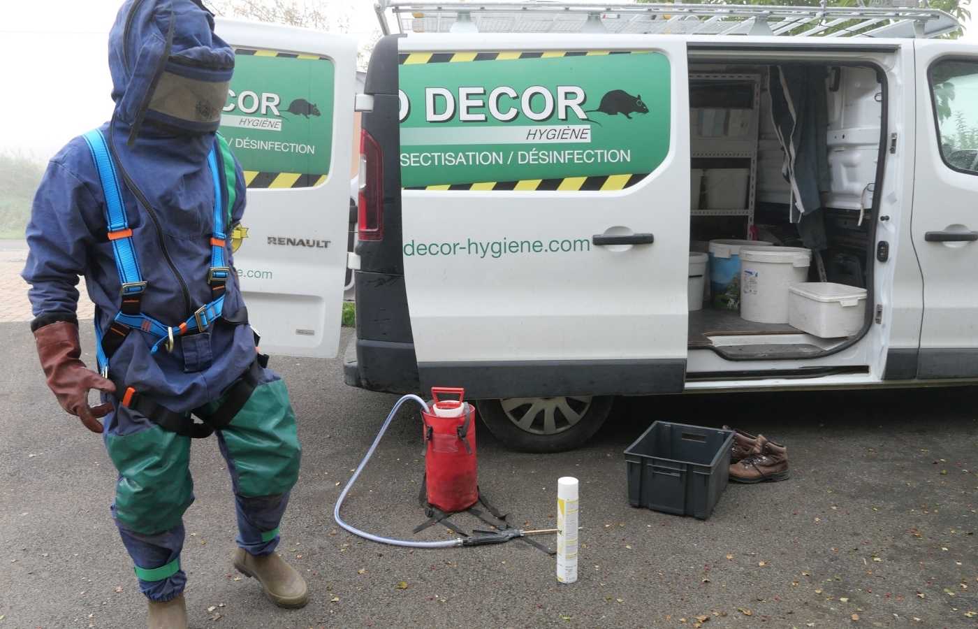 hygiene-3d-deratisation---nids-de-frelons---desinsectisation---desinfection-netto-decor-proprete--agence-de-flers-flers-2
