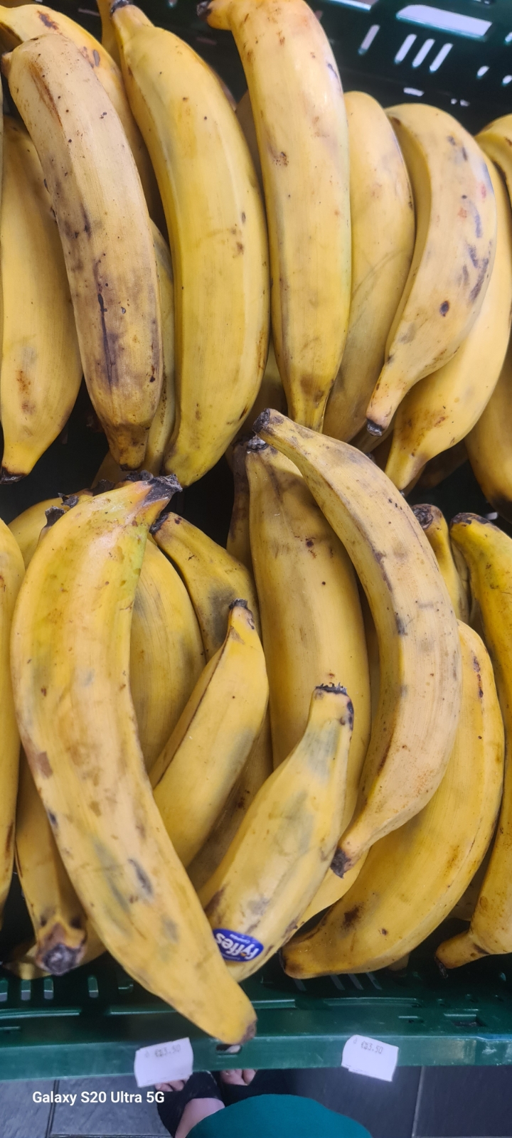 Banane Plantain
