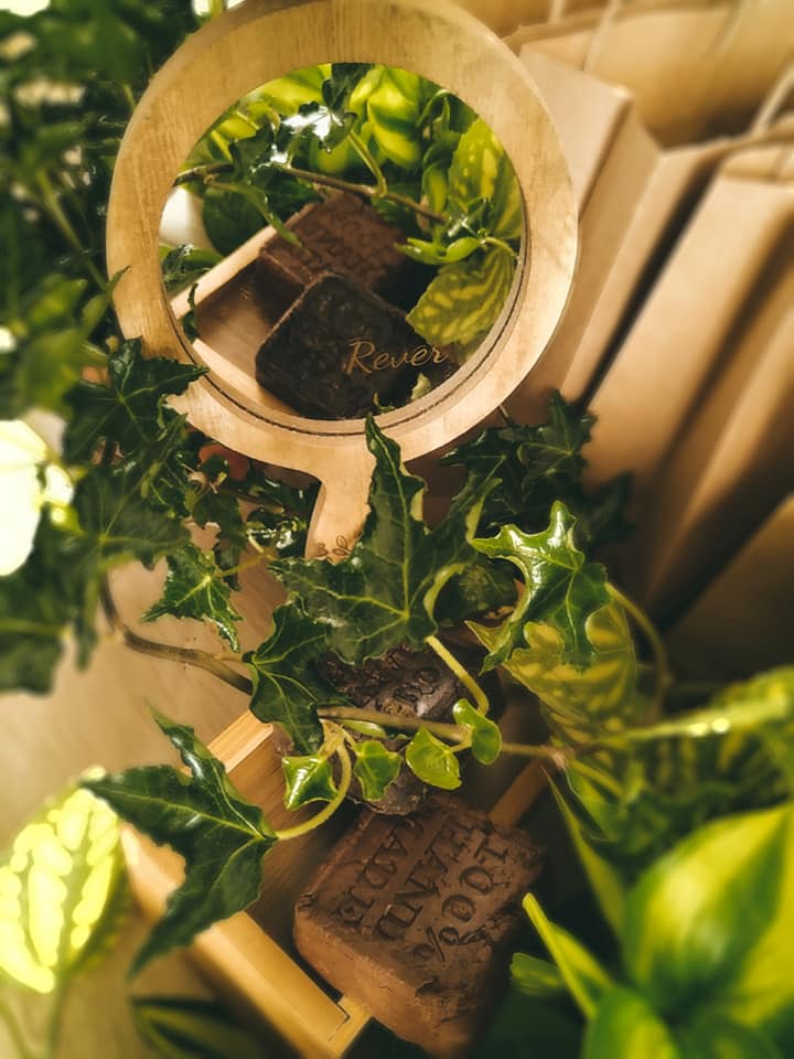 278366913_395816805880903_5678562567058651214_n