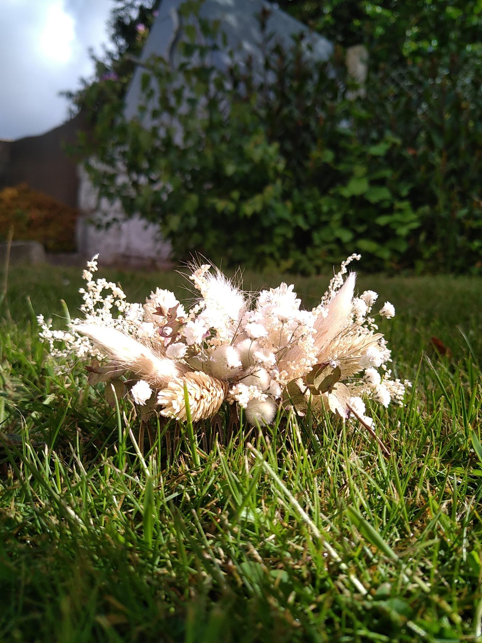Peigne De Fleurs Séchées Ecru (grand)