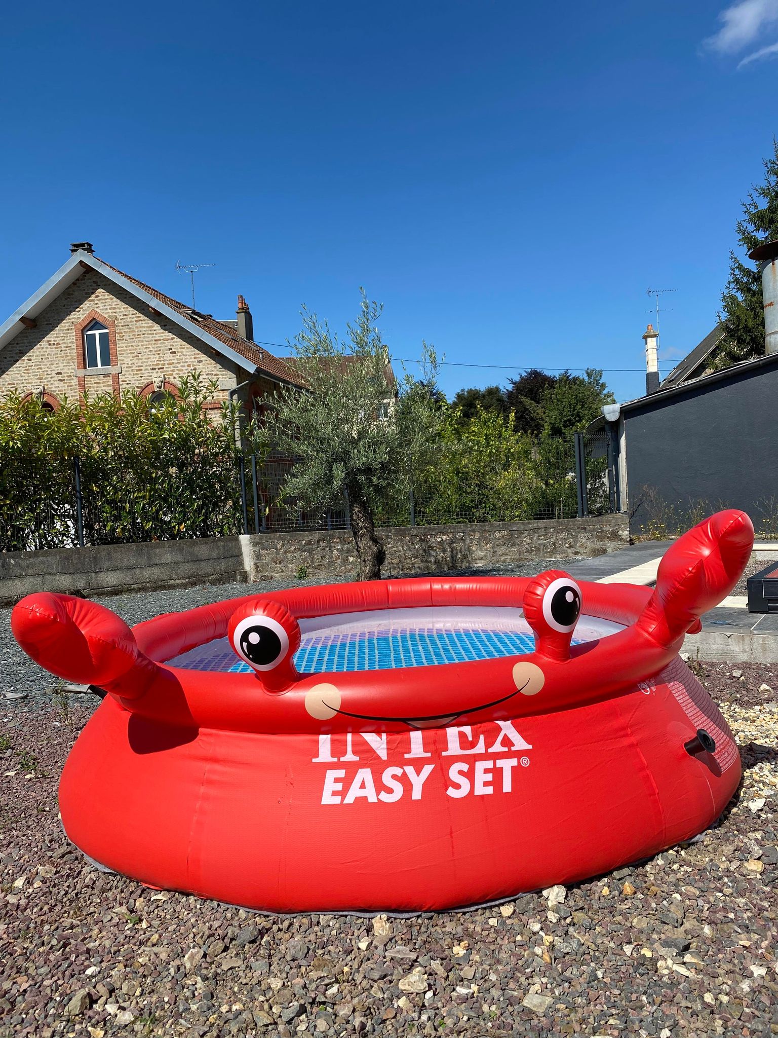 Piscine Crabe Intex