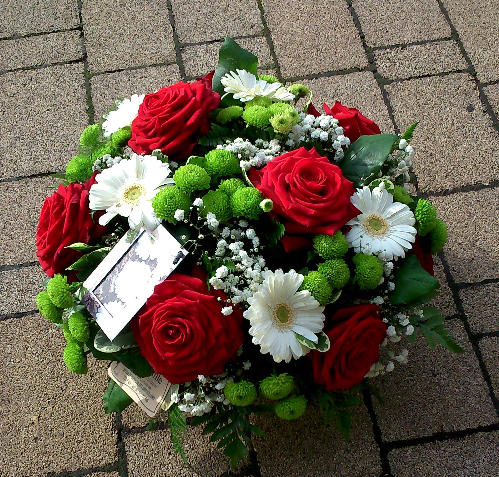 inbound1850336855508500324