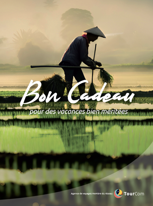 78a52114bbc09e4fb7e48519d64e3df1