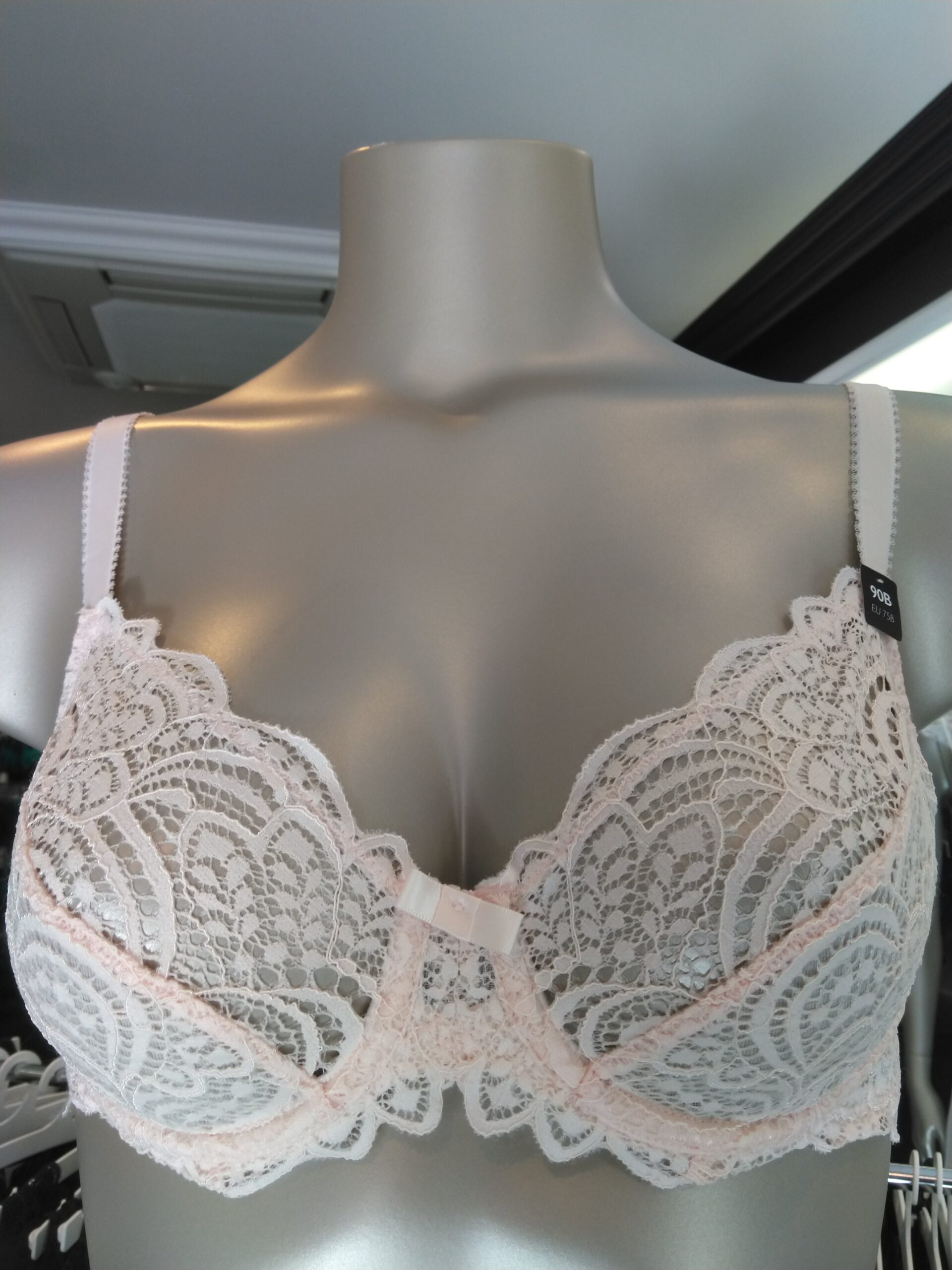 Dentelle Soutien-gorge Emboitant Poudre