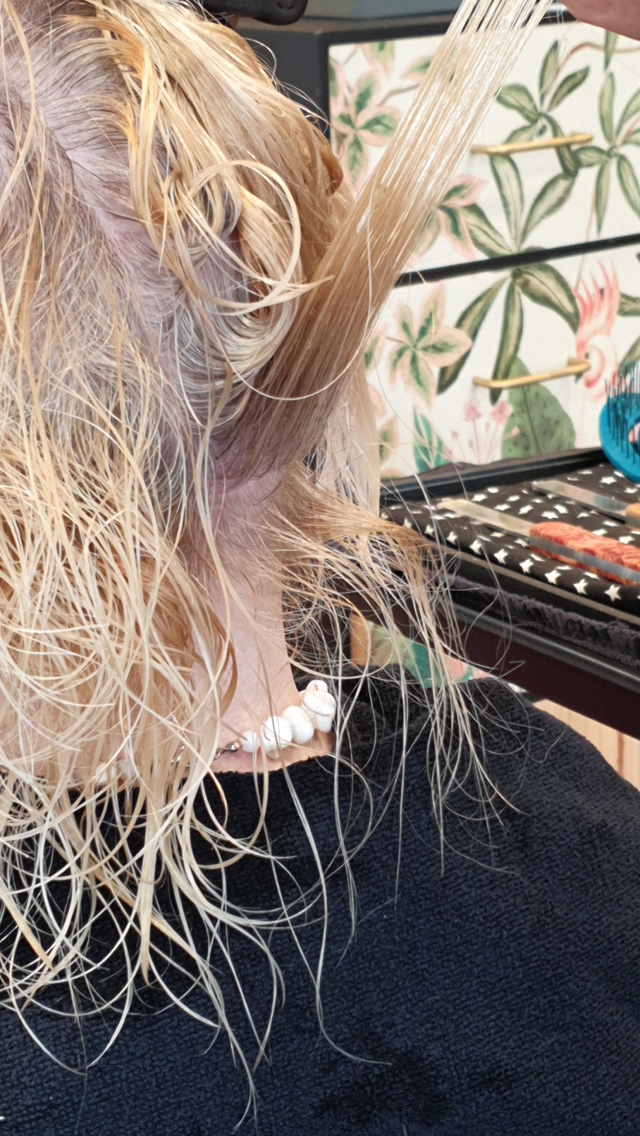 Coupe Sensorielle Energetique