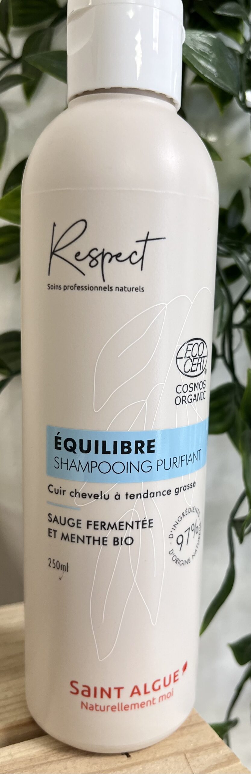 Shampooing Purifiant Saint Algue