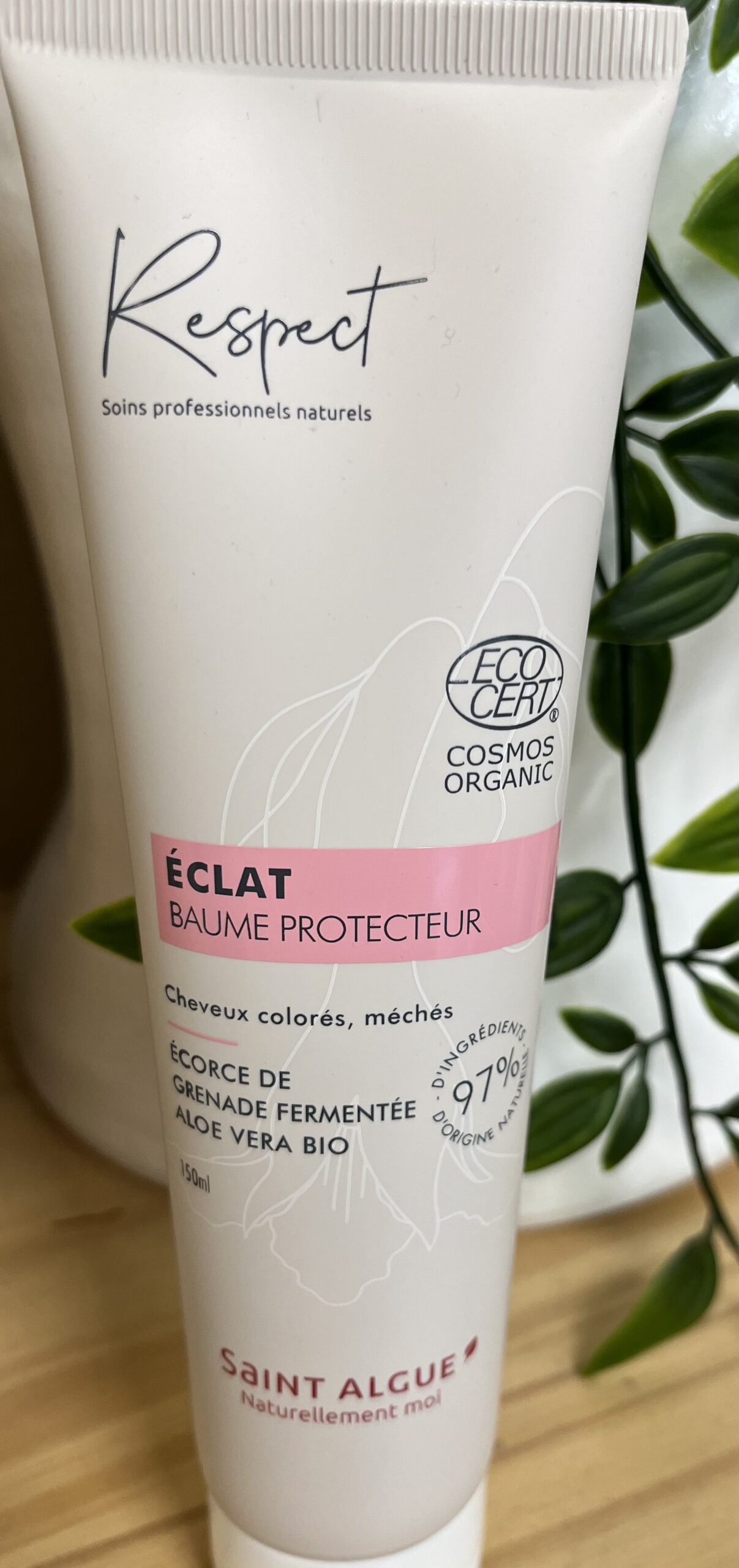 Soin éclat Saint Algue